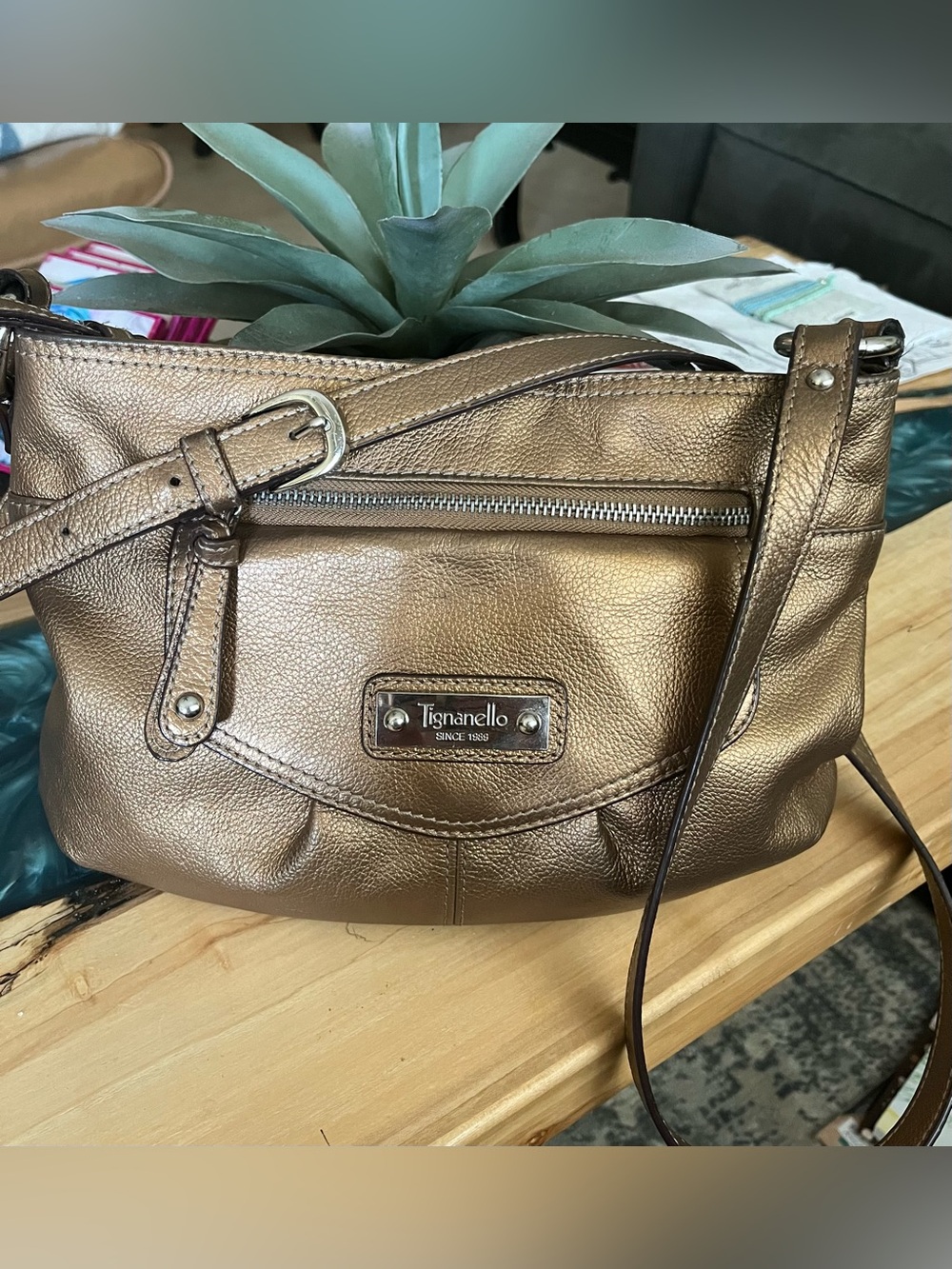 Tignanello Metallic Bronze Leather Crossbody  Bag